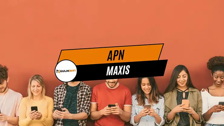 APN Maxis