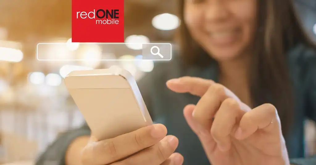 Kepentingan Tetapan APN redONE Kepentingan Tetapan APN redONE