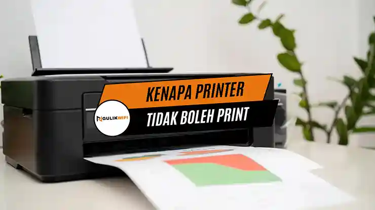 Kenapa Printer Tidak Boleh Print